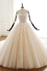 Chic Long Ball Gowns Sweetheart Tulle Lace Wedding Dress with Sleeves