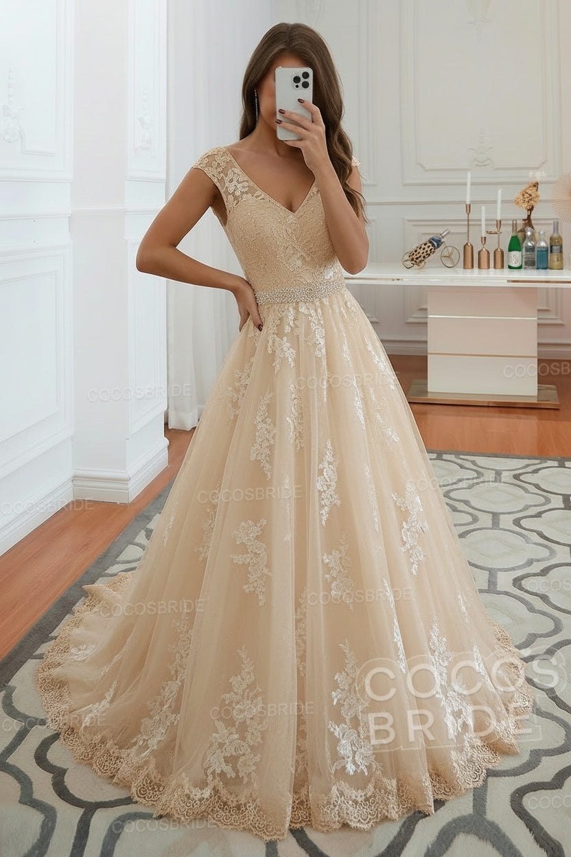 Elegant Long V-neck Lace A-line Wedding Dress