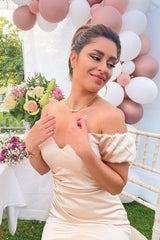 Elegant Short Mermaid Satin Off the Shoulder Formal Dress